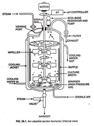 An industrial aerobic fermentor