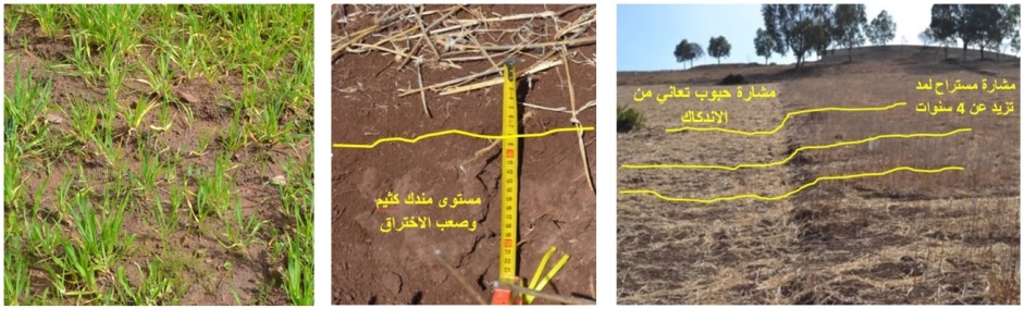 D:\التنظيم المنطقي  تصحيح ابريل للاطروحة\changement compact.jpg