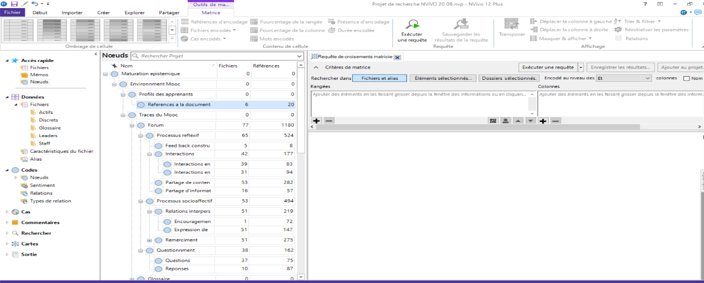 E:\dossier tableaux nvivo\Noeuds Nvivo capture .PNG